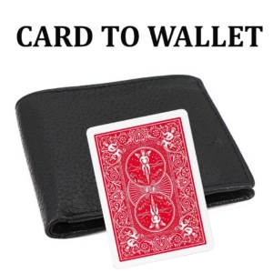 Card to Wallet Karte in Brieftasche Zaubertrick