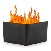 Feuerbrieftasche Fire Wallet PRO
