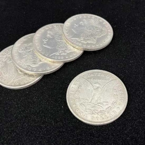 Morgan Dollar Münzen Set PRO 2