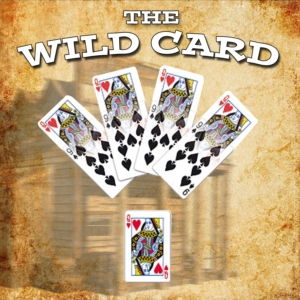 Wild Card in Bicycle