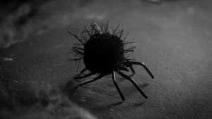 The Web Returns | Zaubertrick – Der schockierendste Kartentrick der Welt! 4