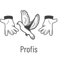 Zaubertricks für Profis