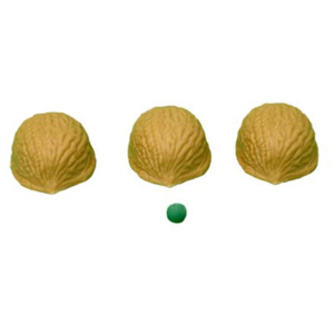 ZIO´s Three Shell Game | Zaubertrick